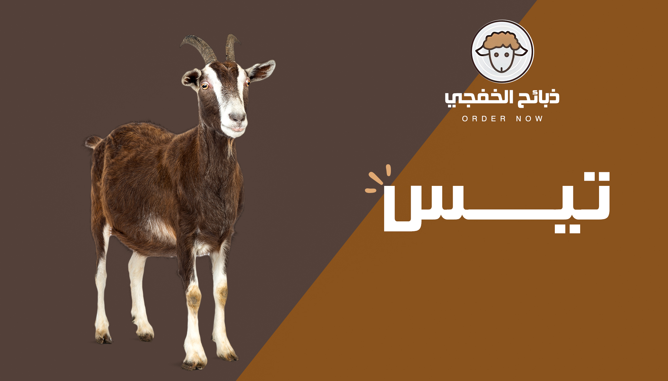 خلطة بوارق